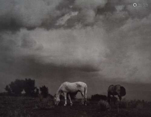 Paul Strand - Grazing Horses, Taos, NM