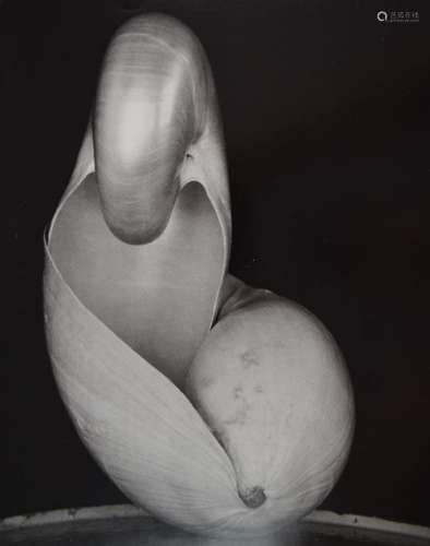 Edward Weston - Two Shells, 1927