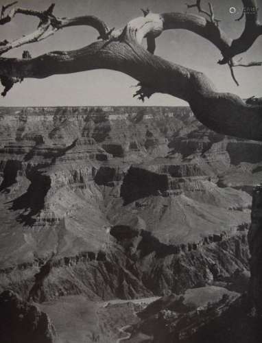 Fritz Henle - Grand Canyon