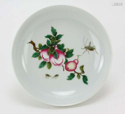 Chinese Famille Rose Porcelain Plate