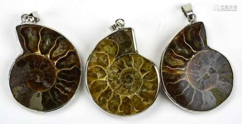 3 Necklace Pendants Mounted W Ammonite Fossils