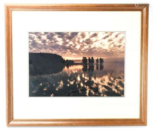 Tom Mangelsen Framed Color Photograph