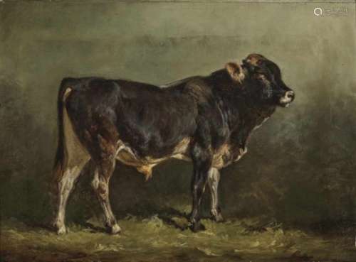 Voltz, Johann FriedrichBull in its Stall On the verso, estate stamp. Oil study on canvas, mounted on