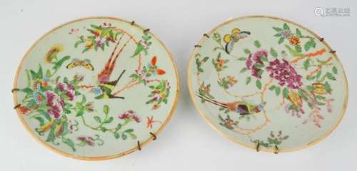 A pair of Chinese plates, enamelled with peacocks.