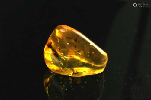 Natural Insect Amber Decoration