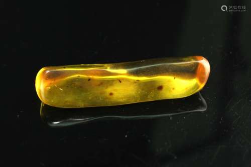 Natural Insect Amber Pendant