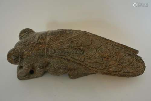 Ancient time stone cicada. Lot size: length: 21.5, heig