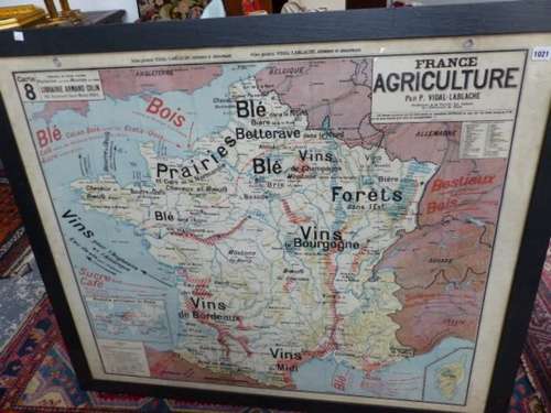 A LARGE 1940'S SCHOOL MAP OF FRANCE SHOWING AGRICULTURE BY REGION, FRAMED AND GLAZED. 116 x 98cms.