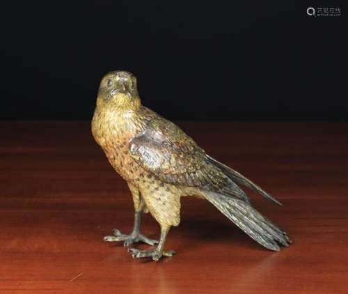 A Rare Large Size 19th Century Cold Painted Bronze Hawk by Franz Bergman, Circa 1880,