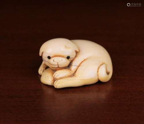 An Edo Period Japanese Netsuke carved as a reclining puppy with inset eyes, holding a shell,