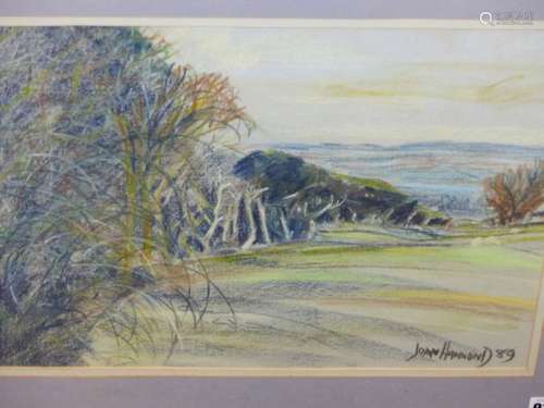 JOAN HAMMOND. 20th.C.BRITISH SCHOOL. ARR. A WOODED LANDSCAPE, SIGNED AND DATED 1989, PASTEL. 29.5