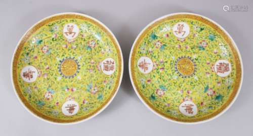 A GOOD PAIR OF 19TH CENTURY CHINESE FAMILLE ROSE PORCELAIN DISHES, the yellow ground decorated