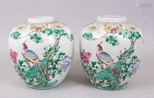 A GOOD PAIR OF 19TH CENTURY CHINESE FAMILLE VERTE PORCELAIN BULBOUS VASES, the bodys of the vases