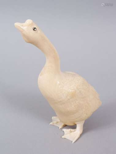 A JAPANESE MEIJI PERIOD CARVED IVORY OKIMONO OF A GOOSE, the goose stood with its head elevated, the