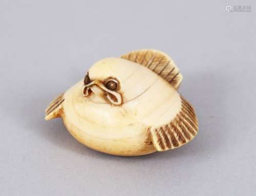 A LARGER JAPANESE EDO PERIOD CARVED IVORY NETSUKE OF A STYLIZED BIRD, eyes inlaid, himotoshi