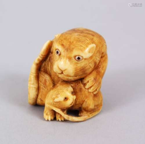 A GOOD JAPANESE MEIJI PERIOD CARVED IVORY NETSUKE OF A TIGER & YOUNG, the parenting tiger curled