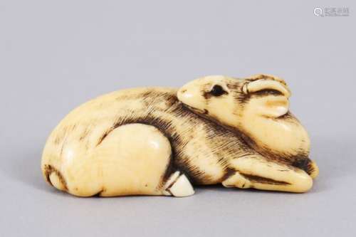 A GOOD JAPANESE MEIJI PERIOD CARVED IVORY NETSUKE OF RECUMBENT DEER, sat with its head facing