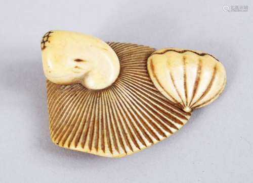 A GOOD JAPANESE EDO PERIOD CARVED IVORY NETSUKE OF MUSHROOM & CHESTNUT, himotoshi formed to the