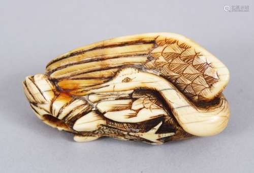 A GOOD JAPANESE EDO PERIOD CARVED IVORY NETSUKE OF A CRANE, carved and stained detailing,