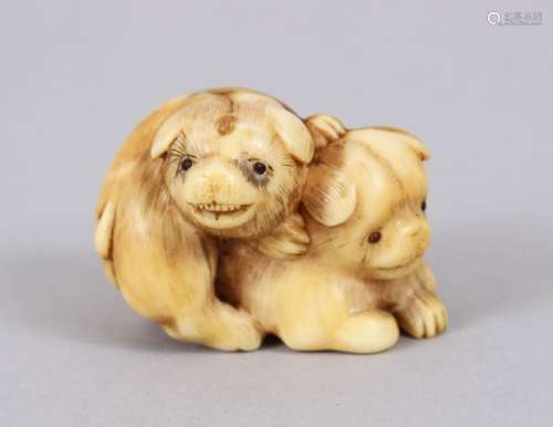 A GOOD JAPANESE MEIJI PERIOD CARVED IVORY NETSUKE OF TWO PUPPIES, one climbing upon the back of