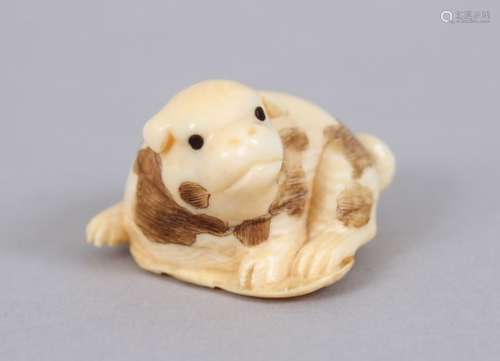 ANOTHER JAPANESE MEIJI PERIOD CARVED IVORY NETSUKE OF A PUPPY, led upon and hiding a sandal, eyes