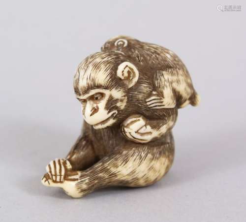 A LOVELY JAPANESE MEIJI PERIOD CARVED IVORY NETSUKE OF TWO MONKEYS, the parenting monkey holding two