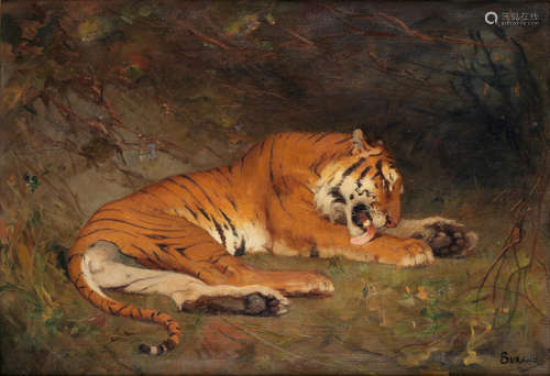 Gustave Surand(French, 1860-1937) Tiger at rest