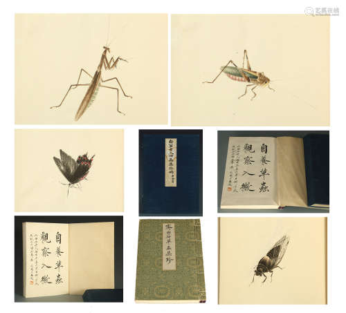 112 PAGES OF CHINESE HAND-DRAWN ALBUM PAINTING OF INSECT AND CALLIGRAPHY