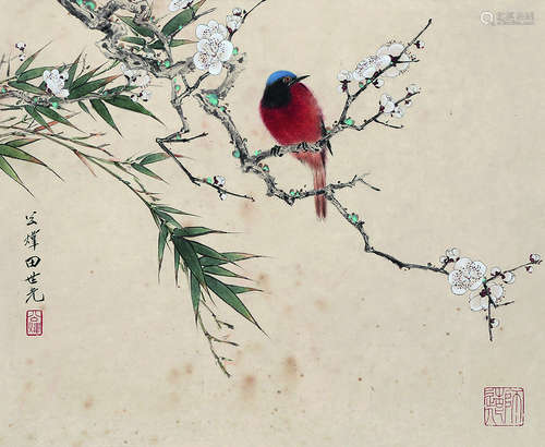 田世光 花鸟 镜片 设色纸本