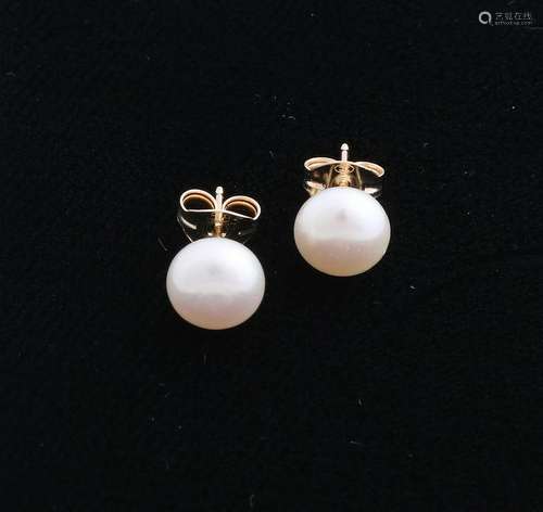 Yellow gold earrings, 585/000, with flat freshwater