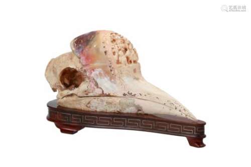 A hornbill skull on wooden stand with silver inlay. The front with carved decor of figures and a