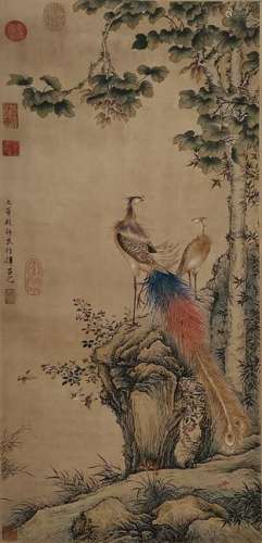 CHINESE INK AND COLOR PEACOCK SCROLL PAINTING