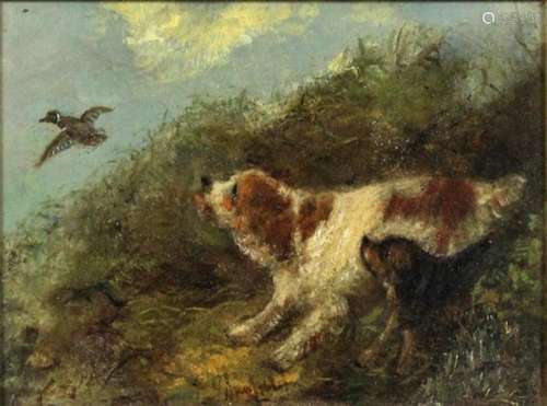 Style of George Armfield (fl. 1840-1875) - Oil painting - Two spaniels putting up a duck, panel 6ins