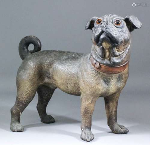 A late 19th Century Austrian polychrome terracotta model of a standing pug with inset glass eyes,