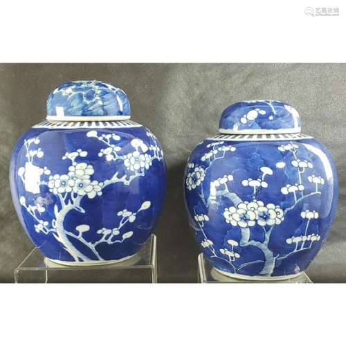 Pr of Chinese Ginger Jars with lids 19th century