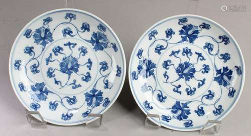 A Pair of Chinese Blue & White Porcelain Plates