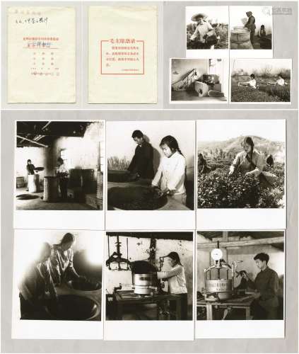六十年代云山十里茶山及制作泡茶等照片一套十张。