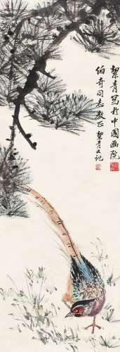 胡絜青（1905～2001） 锦鸡松树 立轴 设色纸本