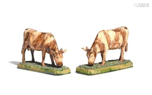 A pair of Portuguese Palissy-type models of cows early 20th century, standing on chamfered