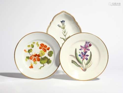 Three Derby botanical dishes c.1795-1815, a shaped dish painted with a sprig titled 'Calaithian
