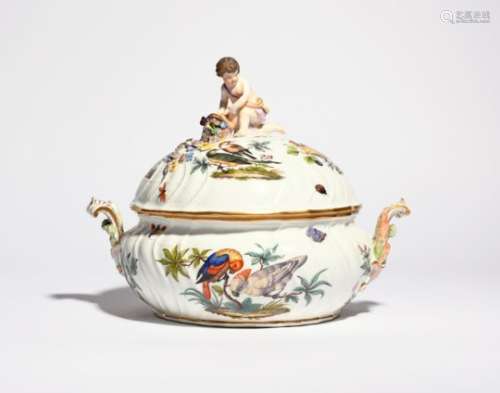 A Meissen ornithological soup tureen and cover c.1700, o squat spiral-moulded form, boldly painted