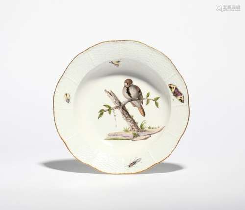 A Meissen ornithological soup plate c.1745, painted with a young bird perched on a low branch, the