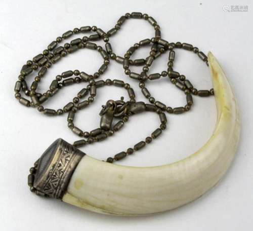 Boar's tusk necklace in a white metal mount, tusk length 95mm approx.