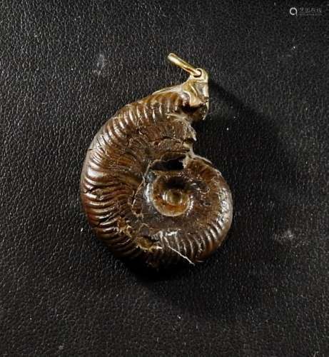 Ammonite de très belle qualité montée en bijou.H :…
