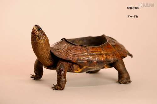 Unusual Japanese Turtle Incense Holder