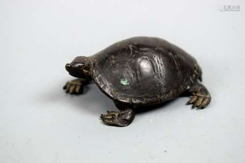 Chinese Bronze Snapping Turtle