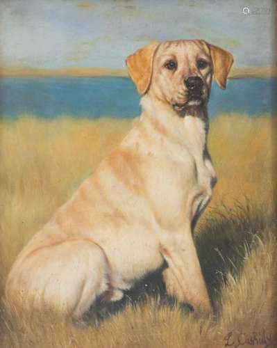 Portrait of a Labrador Retriever 10 x 8 inches.