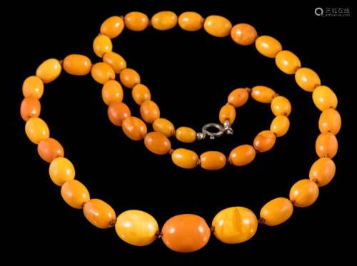A graduated amber bead, single-string necklace: with forty-eight individually knotted,