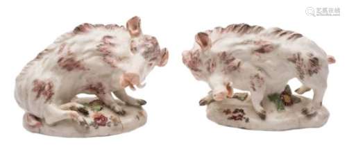A pair of Torquay porcelain models of Florentine Boars in mid 18th century Derby style: one in