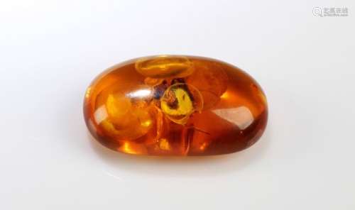 An Amber Ornament enclosed with Two Insects